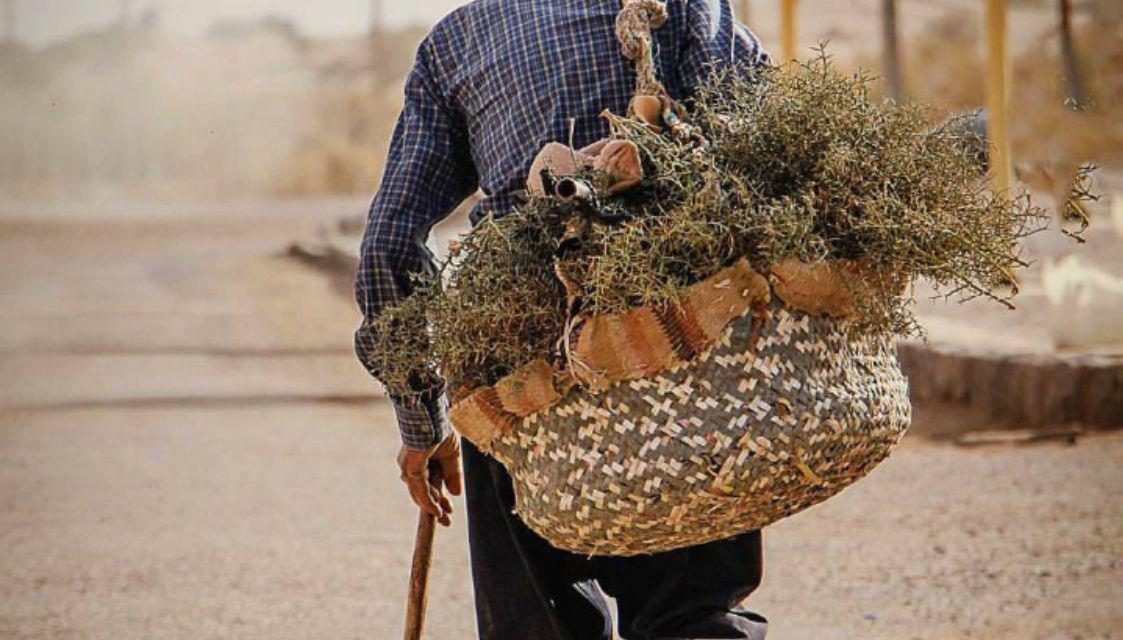 پرورش اصالت (رها کردن فکر دیگران)