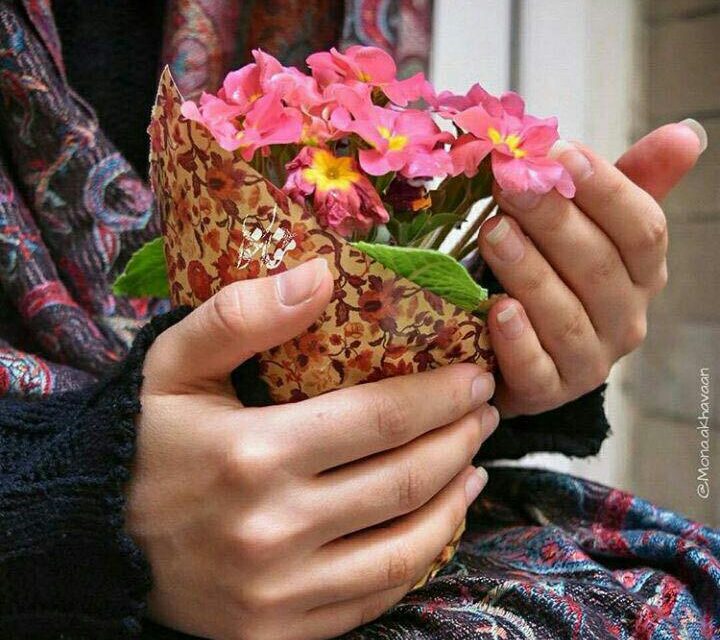 چرا عقب نشینی؟